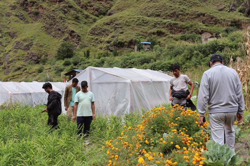 बाँझो जमिन उपयोग गर्दै तरकारी खेतीबाट आम्दानी