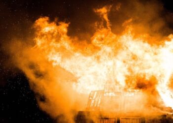 नुवाकोटमा दुई हजार रोपनी वन क्षेत्रमा डढेलो