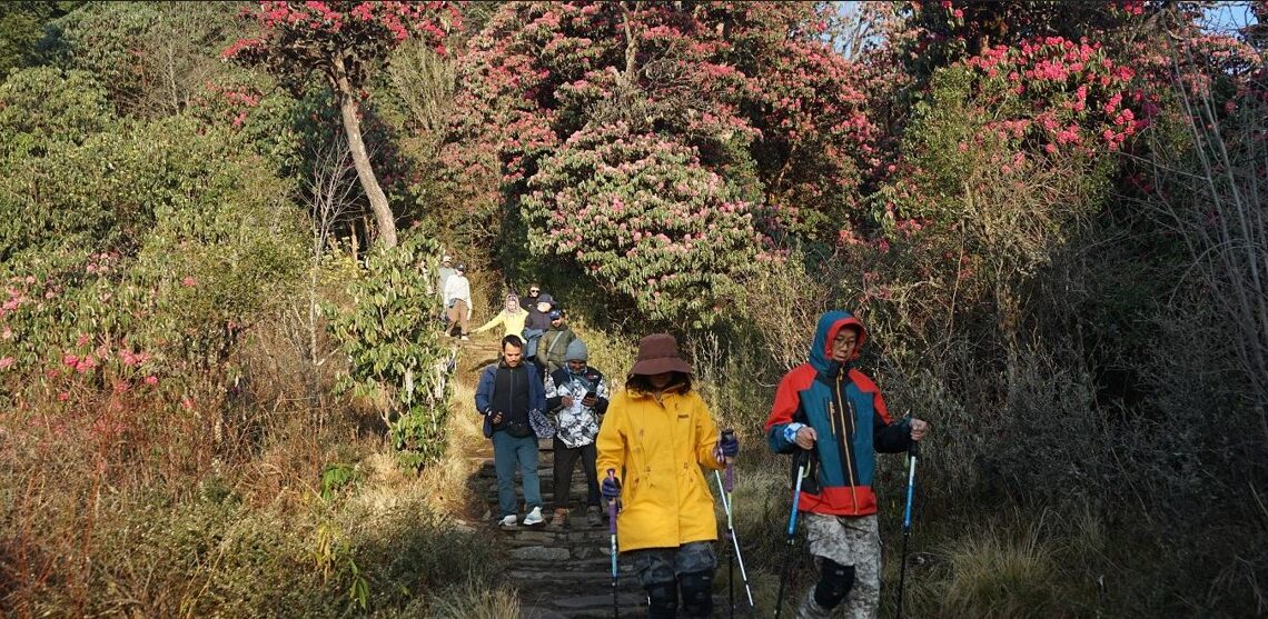 पर्यटकको रोजाइमा घोडेपानी, एक वर्षमा ३१ हजारले गरे भ्रमण