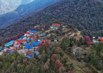 ढकमक्क गुराँसले रङ्गियो घोडेपानी