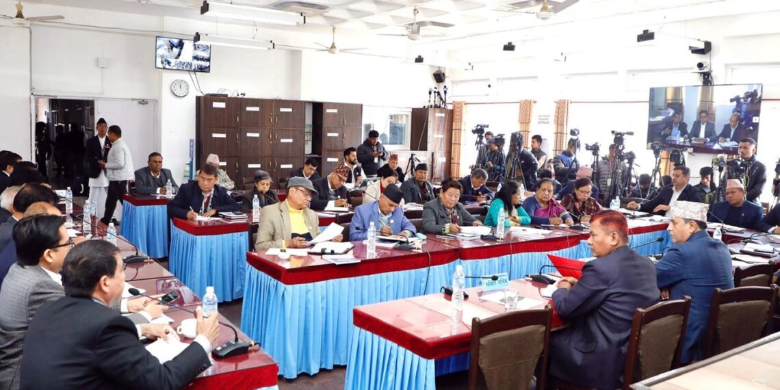 अर्थतन्त्रलाई थप गतिशील बनाउनुपर्नेमा सांसदको जोड