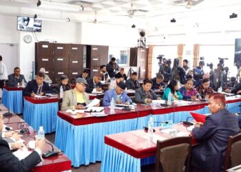 अर्थतन्त्रलाई थप गतिशील बनाउनुपर्नेमा सांसदको जोड