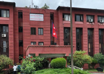 ५६ लाख ४३ हजार बालबालिकाले लगाए दादुरा–रुवेलाविरुद्धको खोप