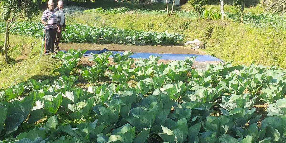 कर्णालीका कृषि उपजको संस्थागत बिक्री व्यवस्था