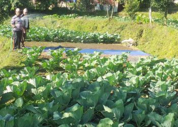 कर्णालीका कृषि उपजको संस्थागत बिक्री व्यवस्था