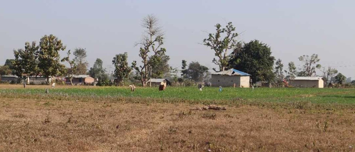 माटोको मायाले सीमामा सङ्घर्ष गर्दै बडुवालवासी