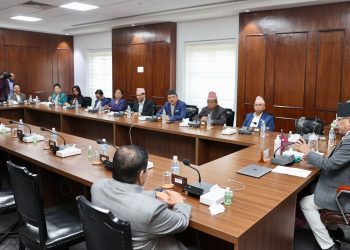 सरकारले बनायो एनसेल प्रकरणको छानबिन गर्न उच्चस्तरीय समिति