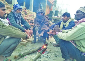 चिसोले महोत्तरीका दलित बस्तीमा विचल्ली