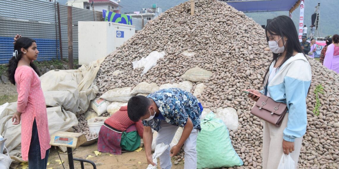 १२ औं संस्करणको राष्ट्रिय हेमजा आलु महोत्सव सुरु