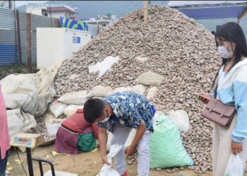 १२ औं संस्करणको राष्ट्रिय हेमजा आलु महोत्सव सुरु