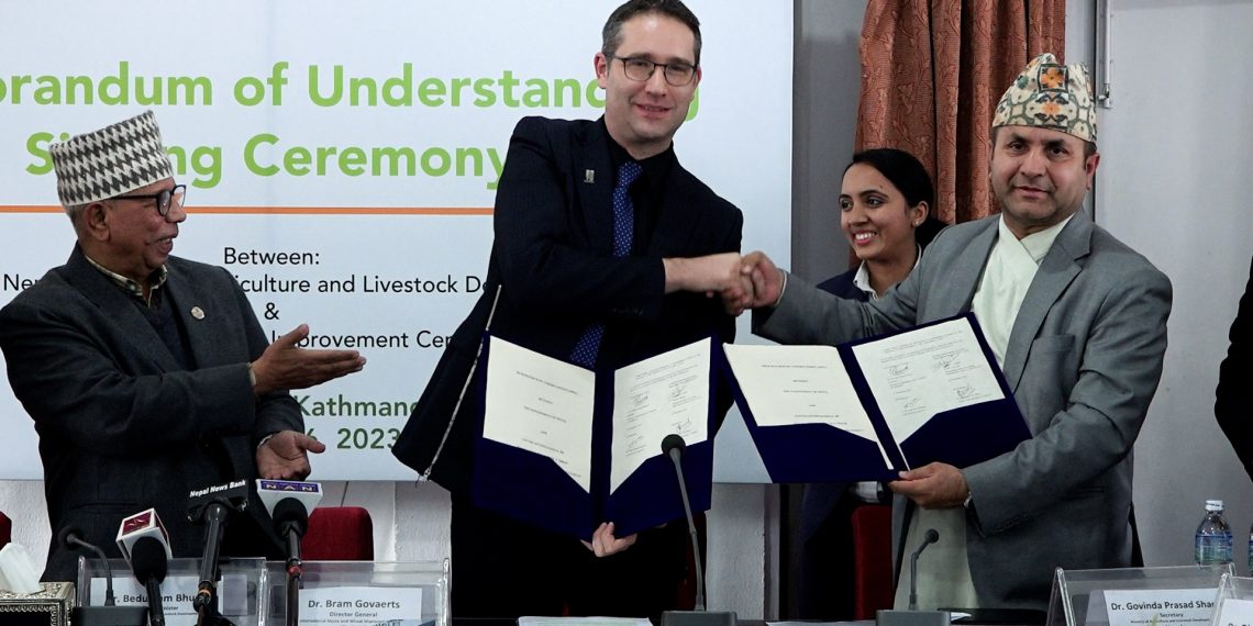 सरकार र अन्तर्राष्ट्रिय मकै तथा गहुँ सुधार केन्द्रबीच १० वर्षे समझदारी