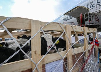 उन्नत जातका गाईको प्रगती सुनेर कोरियाका कृषिमन्त्री दंग