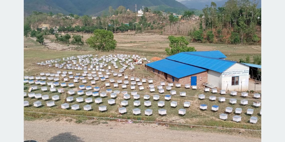 दुई दशकदेखि मौरीपालनमा रमाएका दीपकुमार