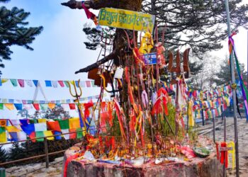 पाथीभरामा चढाइएको १७८ तोला सुन लिलाम गरिँदै