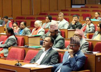 निःशुल्क स्वास्थ्य उपचारको सुनिश्चिततासम्बन्धी सङ्कल्प प्रस्ताव स्वीकृत