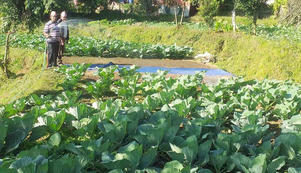 कर्णालीका कृषि उपजको संस्थागत बिक्री व्यवस्था