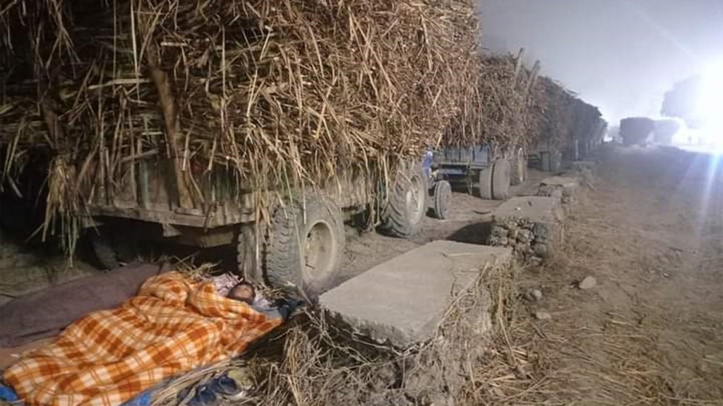 ‘उखु किसानको पलायन रोक्न सक्नुपर्छ’