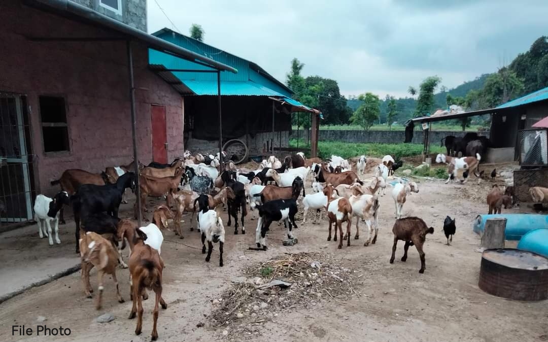 तनहुँमा कृषि फर्म र सुन पसलमा आगलागी