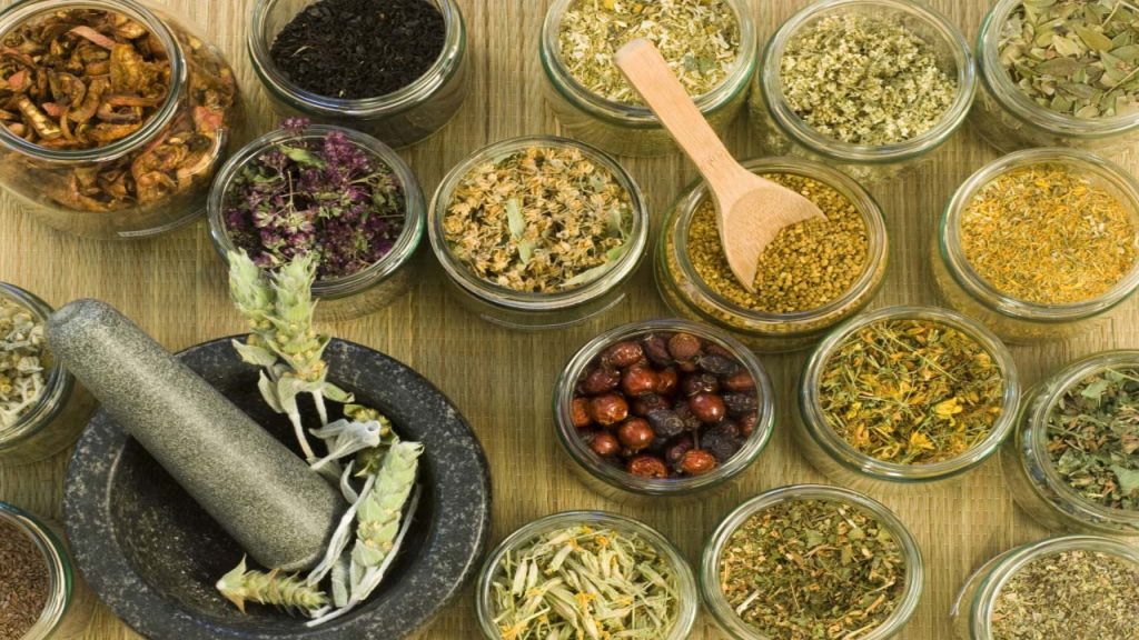 जडीबुटीखेतीमा किसानको आकर्षण