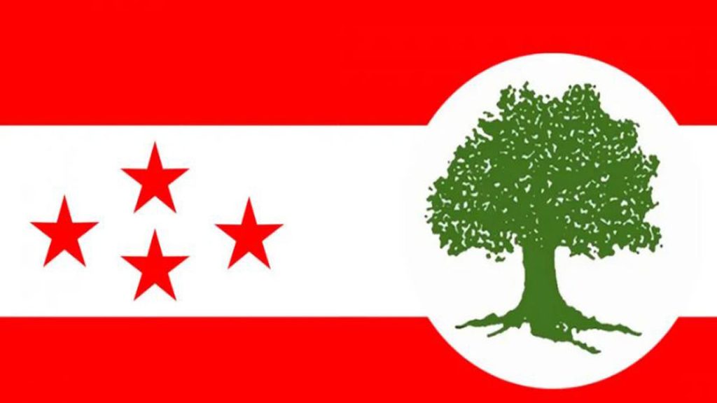 निर्वाचन हुन नसकेका क्षेत्रका सबै महाधिवेशन प्रतिनिधिले बैठकमा भाग लिन पाउने