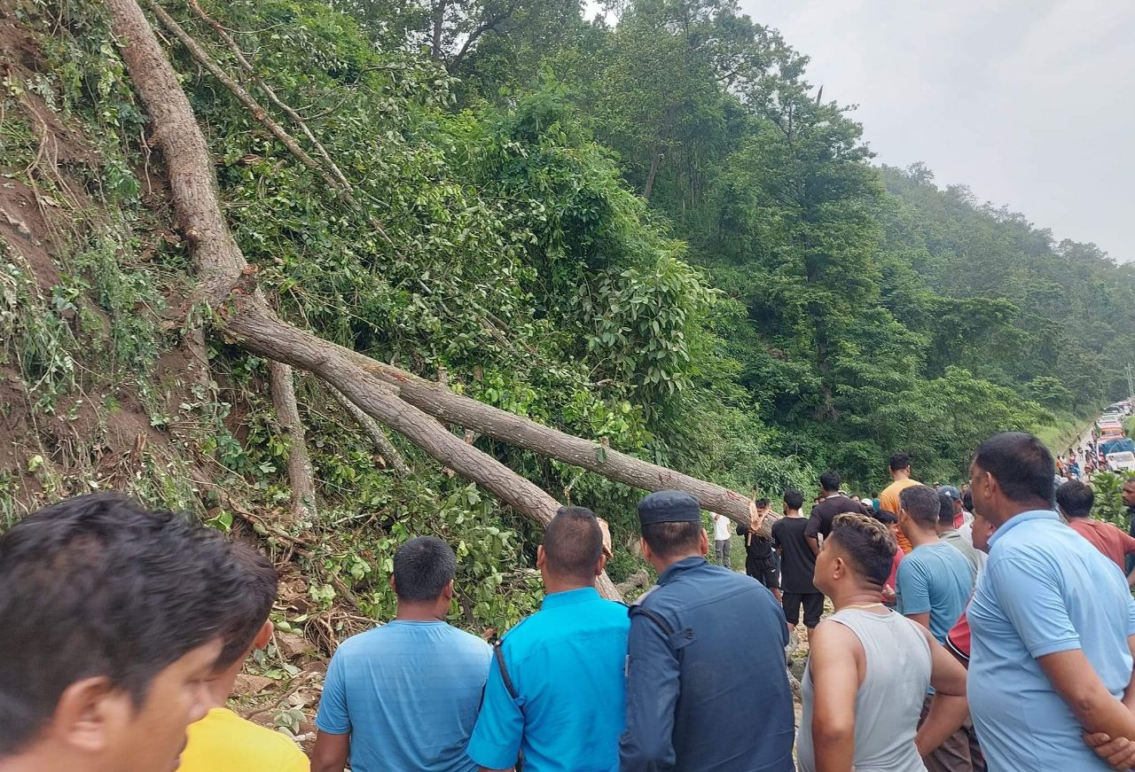 सडकमा रुख ढल्दा डुम्रे बेशीशहर सडक अवरुद्ध