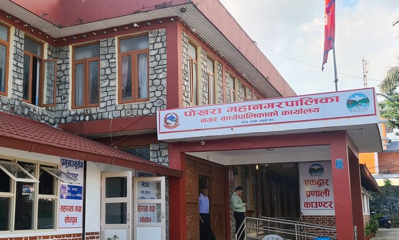 पोखरा महानगरले माग्यो कक्षा ११ मा छात्रवृत्तिमा अध्ययनका लागि आवेदन