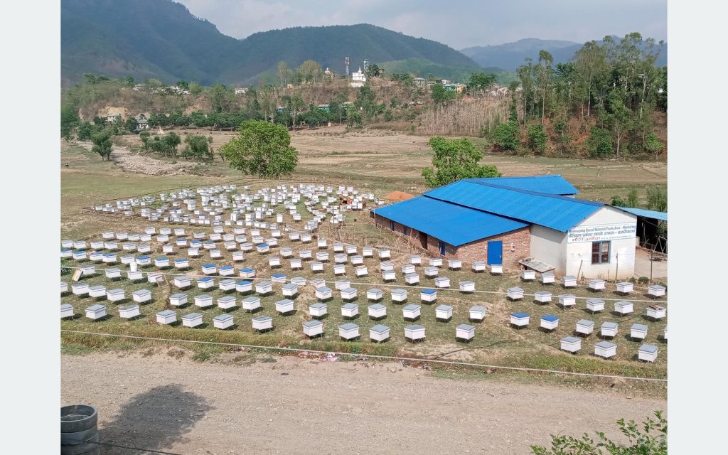 मौरीपालन व्यवसायले बदलिएको भाग्य