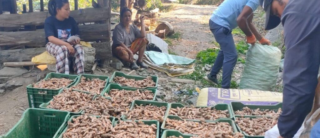 उदयपुरको सिद्धिपुरबाट दुई करोड मूल्य बराबरको बेसार बिक्री