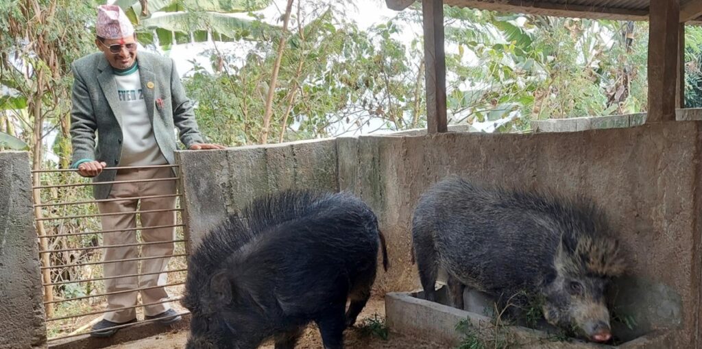 कृषि पेसामा रमाउँदै धर्मराज, व्यक्तिगत लगानीमा गाउँभरि कृषि फार्म