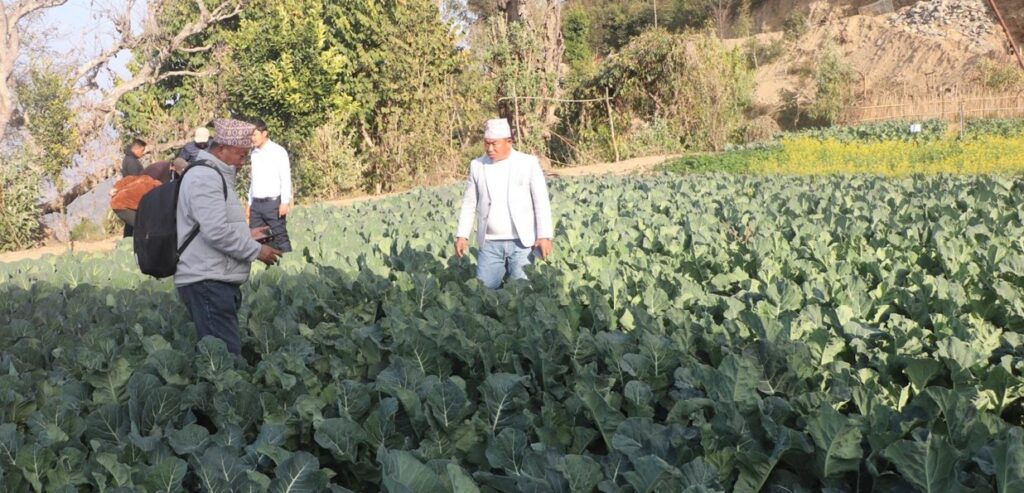 अर्गानिक कृषि उत्पादनमा जुट्दै भोजपुरका किसान