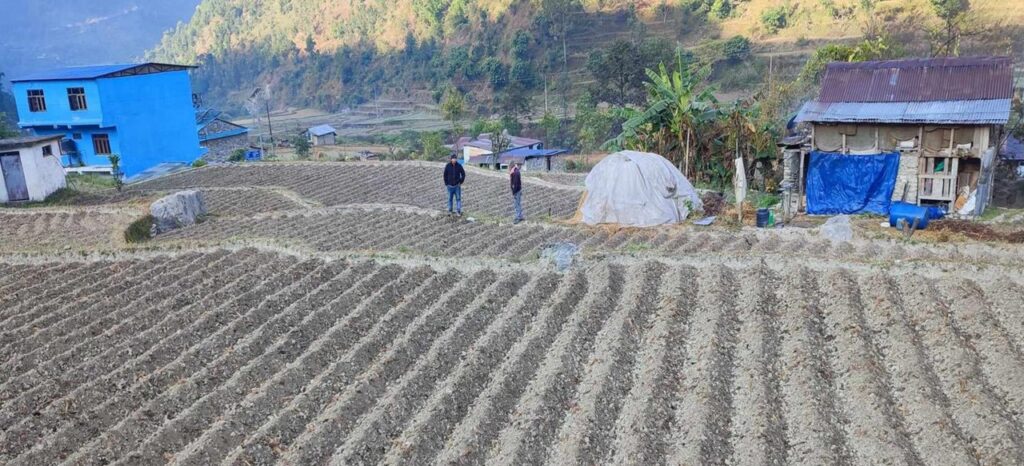 किसानलाई आलु खेतीतर्फ आकर्षित गर्न क्षेत्र विस्तार