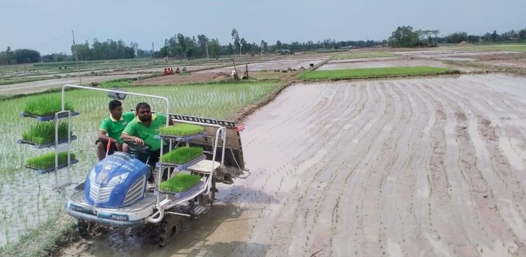 चैते धानखेतीतर्फ झापाका किसानको आकर्षण बढ्दो