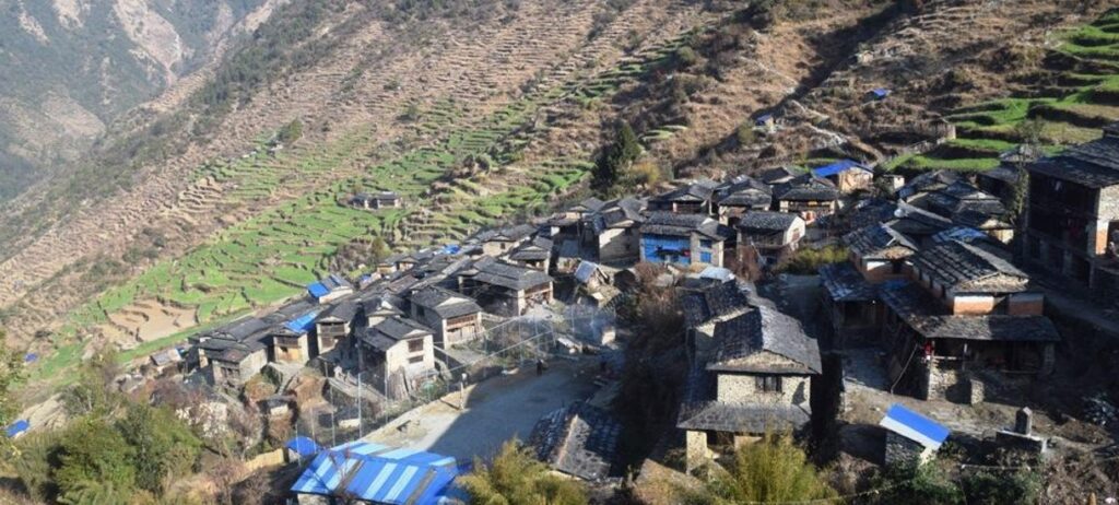 अन्न उत्पादन घटेपछि म्याग्दीका किसान फलफूलखेतीमा