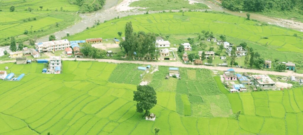 जोरायलको रैथाने बासमती चामलको माग बढ्दै